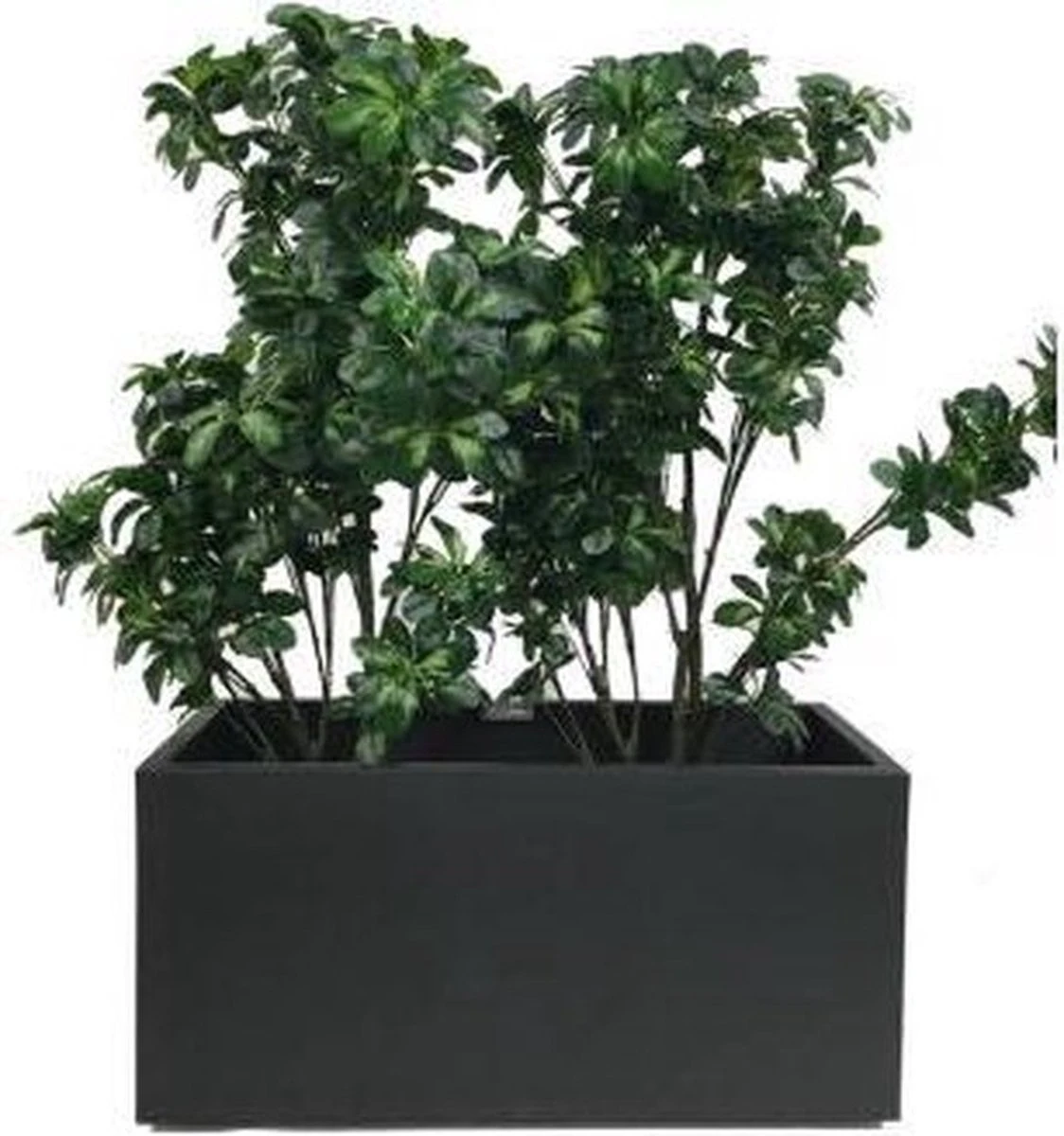 Elho Vivo Matt Finish Lang Wielen 90 - Grote Staande Plantenbak Voor Binnen & Buiten - Gemaakt Van Gereycled Plastic - L 39 X W 88 X H 41 Cm - Zwart - Afbeelding 4