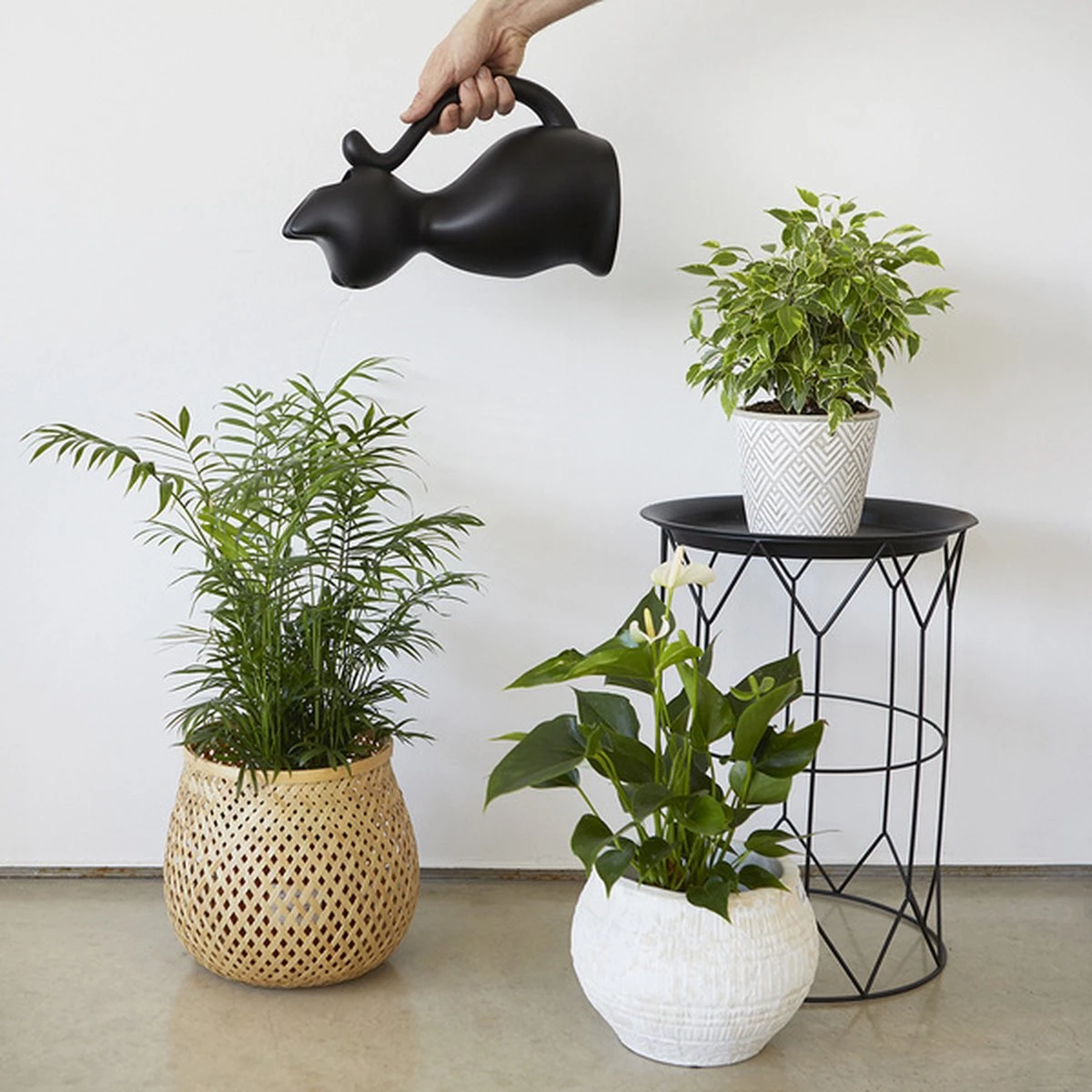 Balvi Meow! Kat Gieter - Zwart - Afbeelding 3