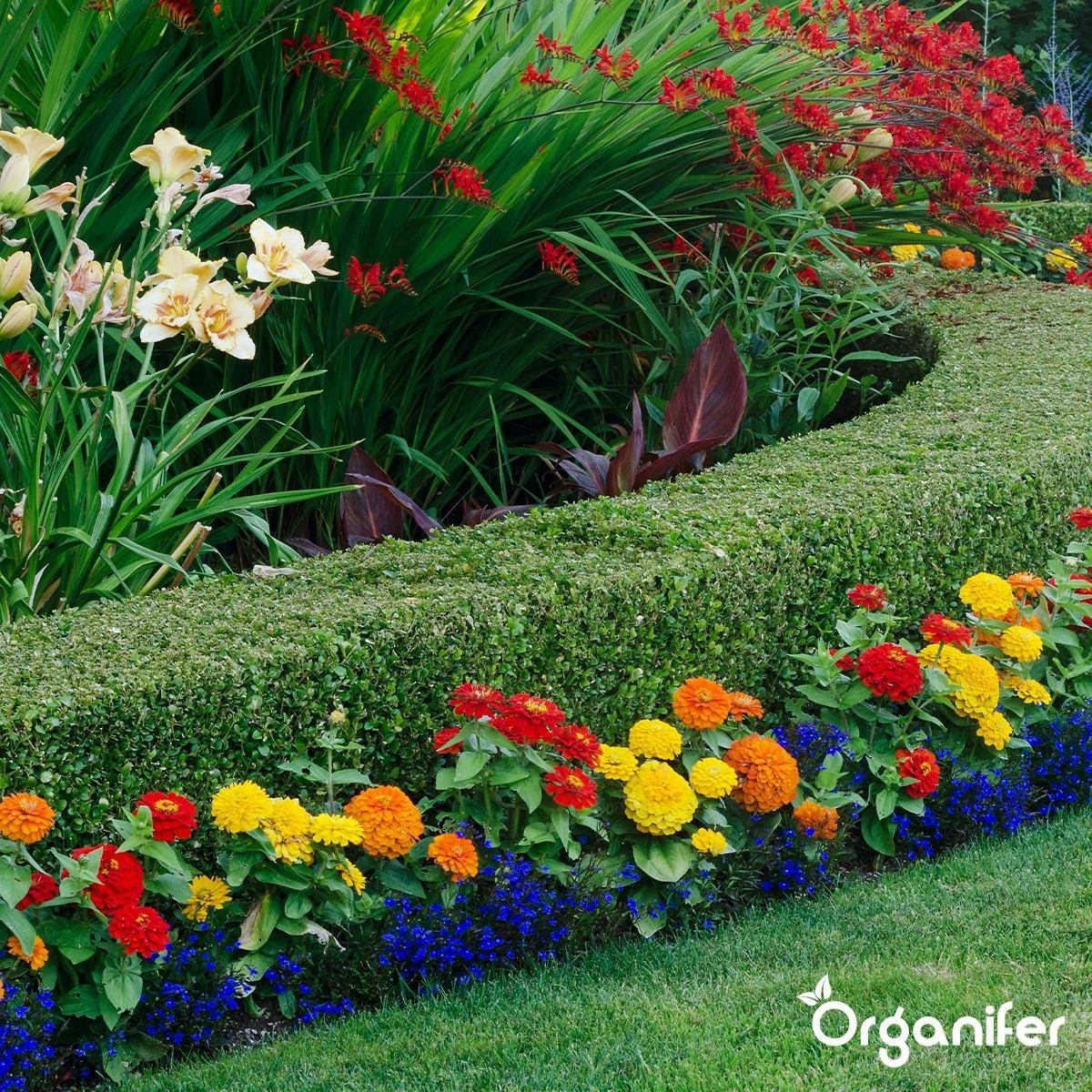Lavagruis Uit Eifel Oergesteente (20Kg Voor 200m2) Grof Lavameel 0-2mm - Organifer - Afbeelding 6