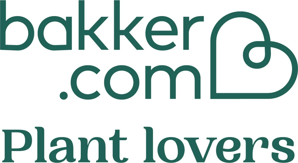 Pokon Bladglans 250ml - Afbeelding 3