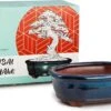 Happy Seed Keramieken Bonsai Pot (schaal) - Marine Blauw - Geglazuurd