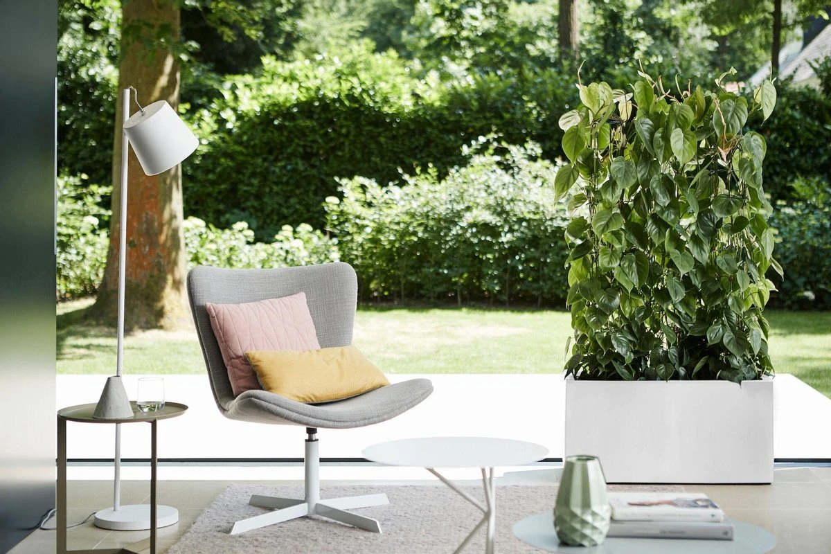 Elho Vivo Matt Finish Lang Wielen 90 - Grote Staande Plantenbak Voor Binnen & Buiten - Gemaakt Van Gereycled Plastic - L 39 X W 88 X H 41 Cm - Wit - Afbeelding 5