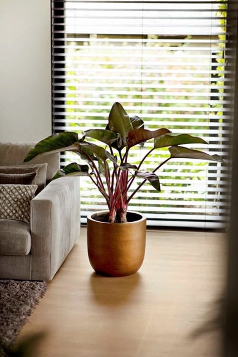 Capi Europe - Bloempot Bol Retro XL - 42x41 - Goud - Bloempot Voor Binnen - Opening ⌀36 - RTG933 - Afbeelding 7