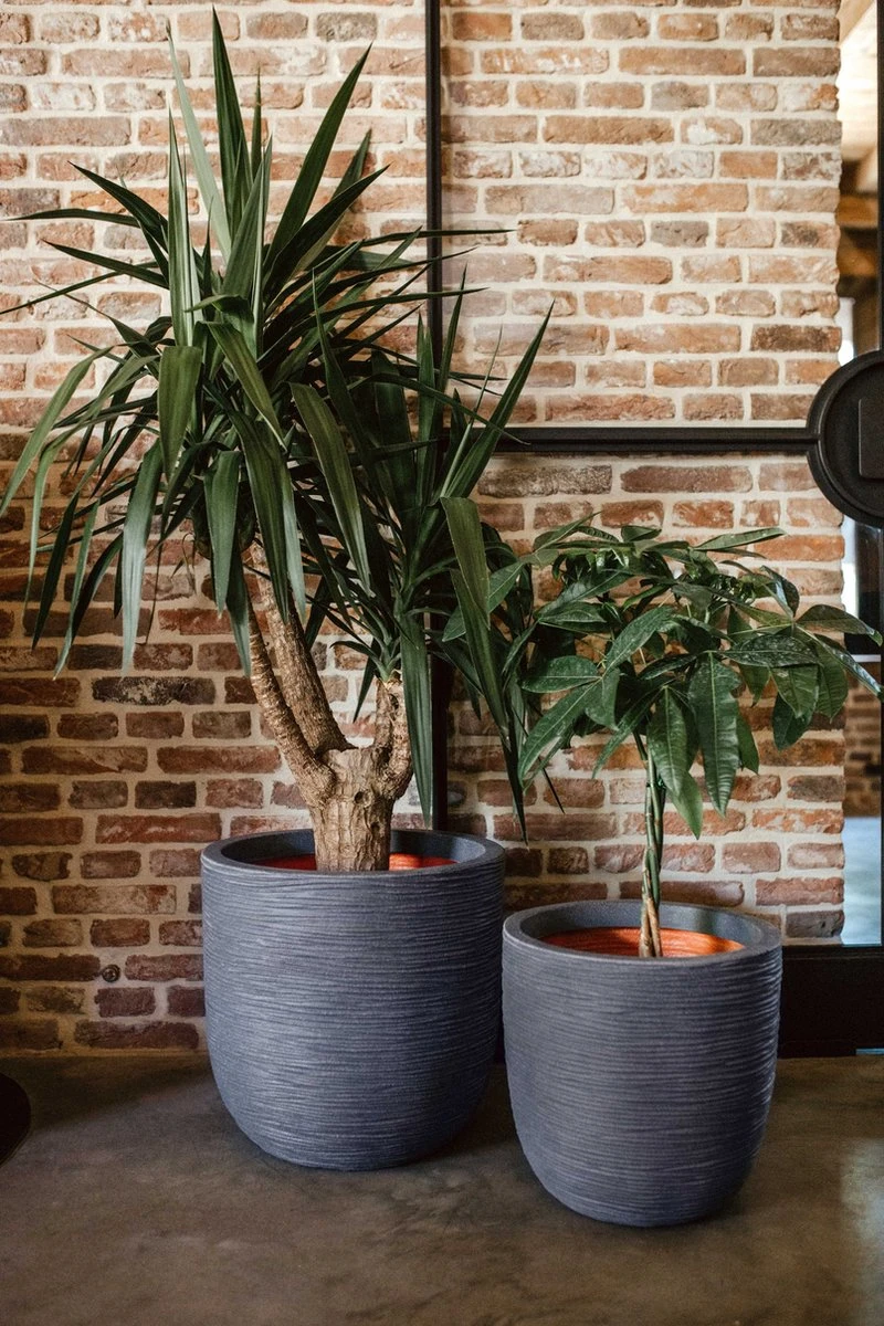 Capi Europe - Bloempot Bol Rib NL - 35x34 - Ivoor - Voor Binnen En Buiten - KOFI932 - Afbeelding 8